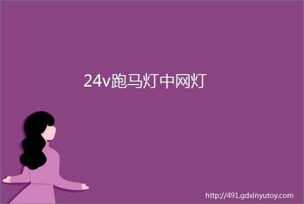 24v跑马灯中网灯