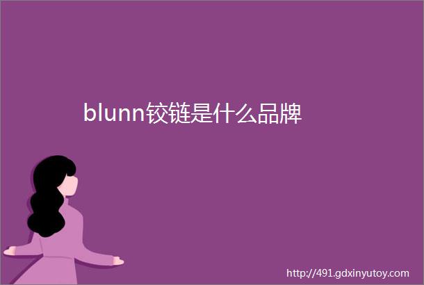 blunn铰链是什么品牌