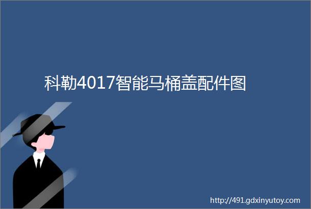 科勒4017智能马桶盖配件图