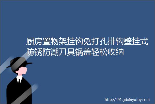 厨房置物架挂钩免打孔排钩壁挂式防锈防潮刀具锅盖轻松收纳