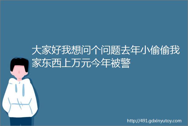 大家好我想问个问题去年小偷偷我家东西上万元今年被警